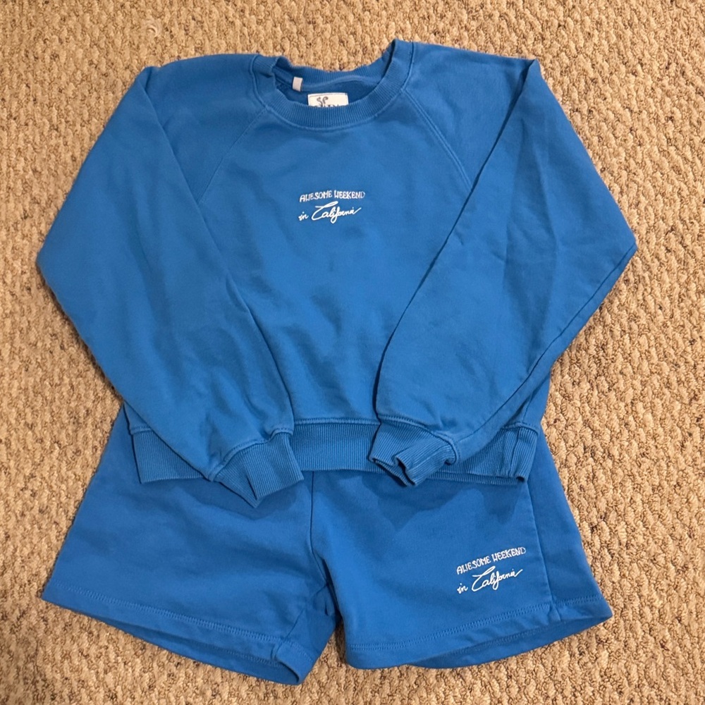 Zara Vibrant Blue Knit Top